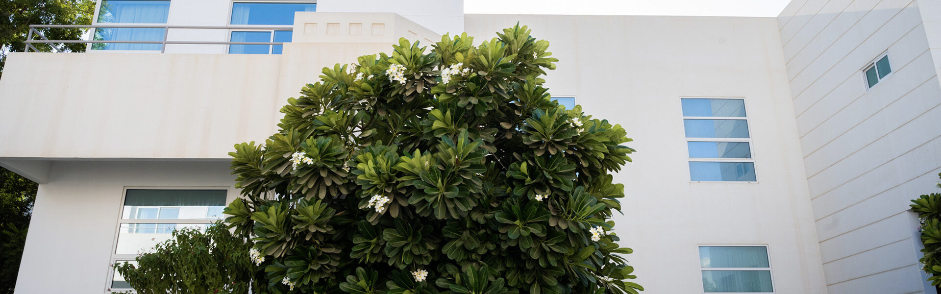 Photo of Farouk Garden