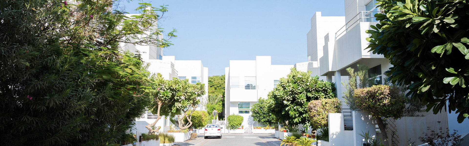 Photo of Farouk Garden