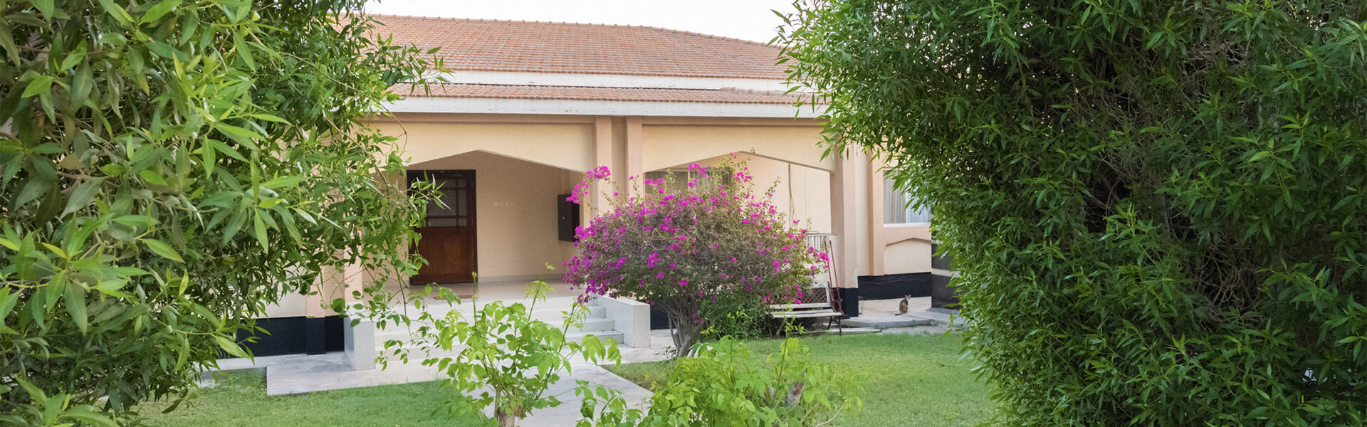 Photo of Andalus Garden
