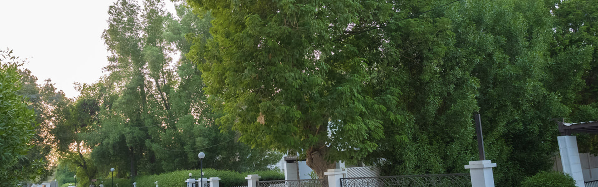 Photo of Mohammed Garden